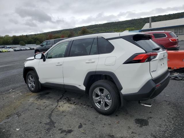 JTMRWRFV7SD333076 - 2025 TOYOTA RAV4 XLE WHITE photo 2