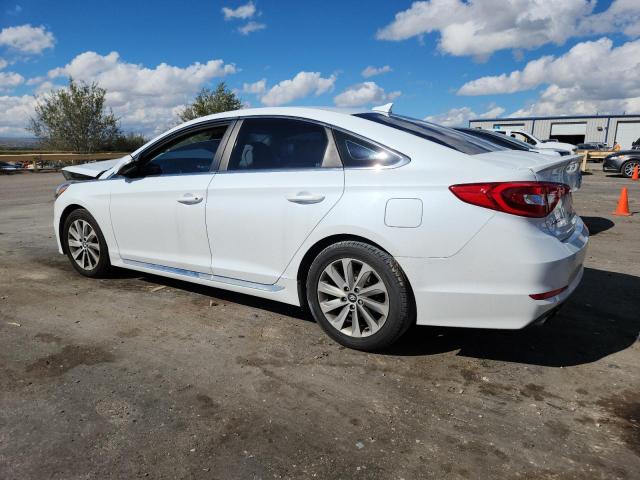 5NPE34AF9HH591306 - 2017 HYUNDAI SONATA SPORT 白色 照片 2