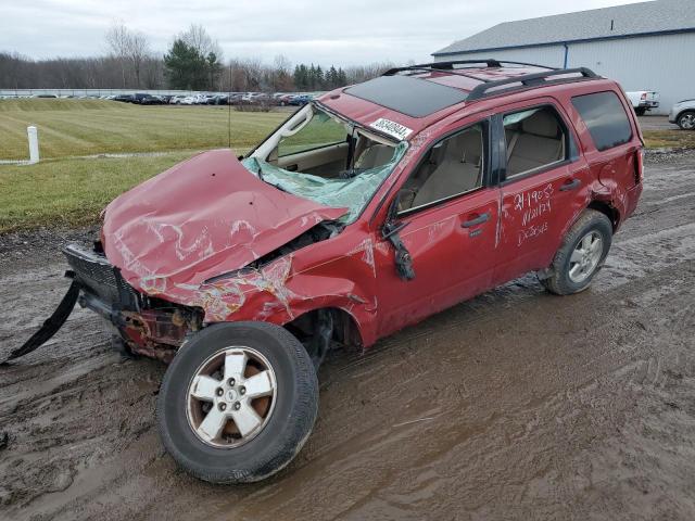 2011 FORD ESCAPE XLT, 