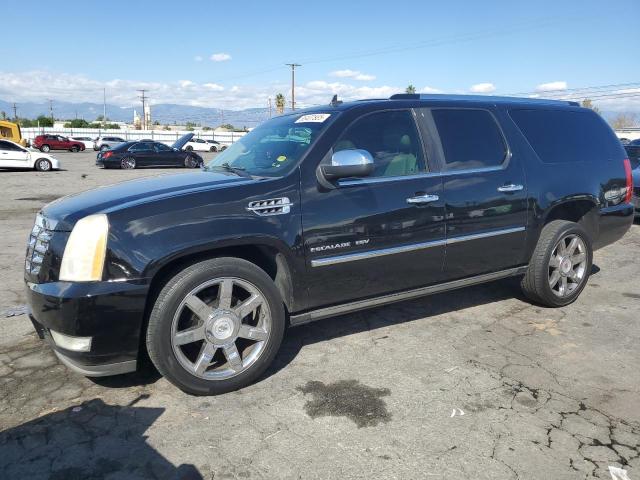2010 CADILLAC ESCALADE ESV PREMIUM, 