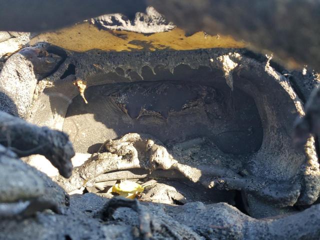 2T2BAMCA2SC101448 - 2025 LEXUS RX 350 BASE WHITE photo 18