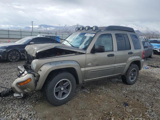 1J8GL38K43W602276 - 2003 JEEP LIBERTY RENEGADE 棕色 照片 1