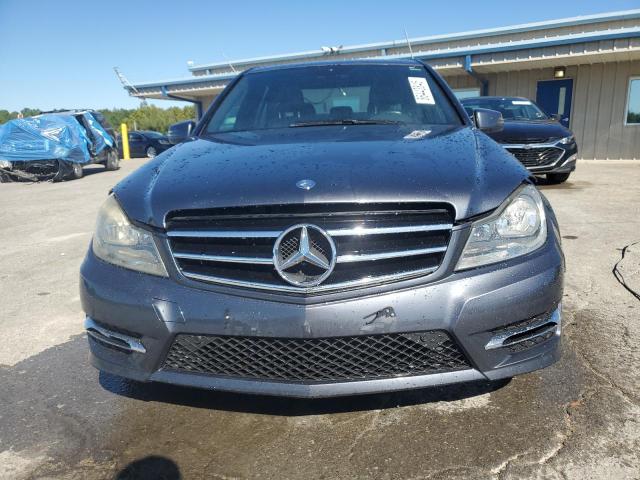WDDGF8AB9EG197282 - 2014 MERCEDES-BENZ C 300 4MATIC GRAY photo 5