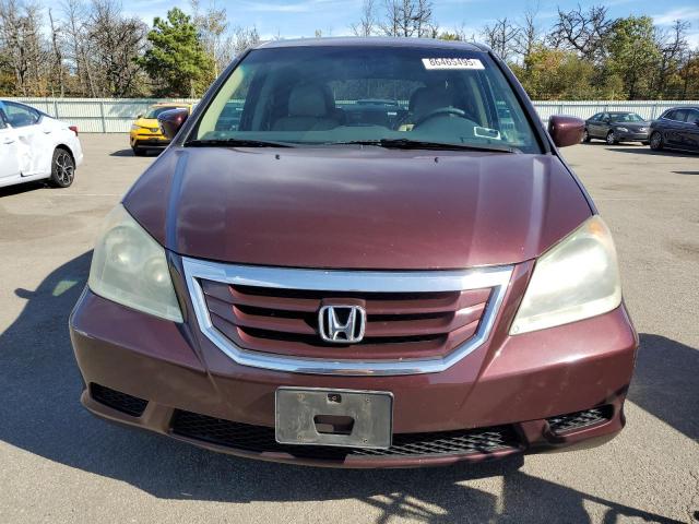 5FNRL38718B074364 - 2008 HONDA ODYSSEY EXL MAROON photo 5