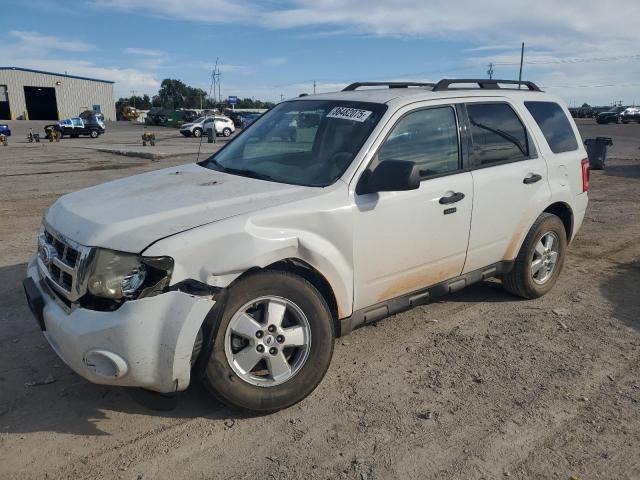 2010 FORD ESCAPE XLT, 