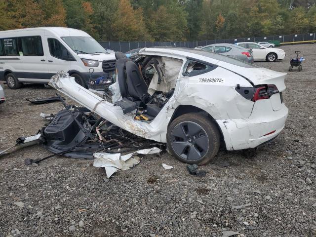 5YJ3E1EAXNF101318 - 2022 TESLA MODEL 3 Սպիտակ լուսանկար 2