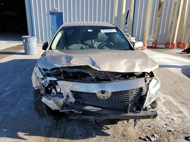 1NXBU4EE6AZ224680 - 2010 TOYOTA COROLLA BASE TAN photo 5