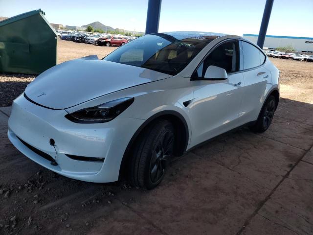 2025 TESLA MODEL Y, 