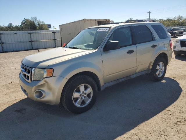 2010 FORD ESCAPE XLS, 