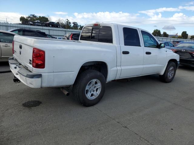 1D7HW48P57S151513 - 2007 DODGE DAKOTA QUAD SLT أبيض صورة 3