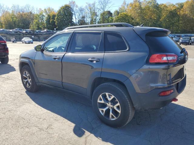 1C4PJMBS6EW182258 - 2014 JEEP CHEROKEE TRAILHAWK GRAY photo 2