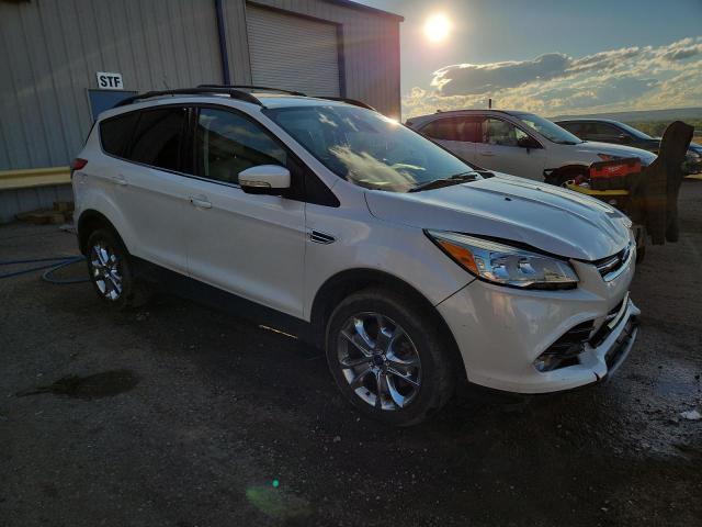 1FMCU0H94DUC85736 - 2013 FORD ESCAPE SEL 白色 照片 4