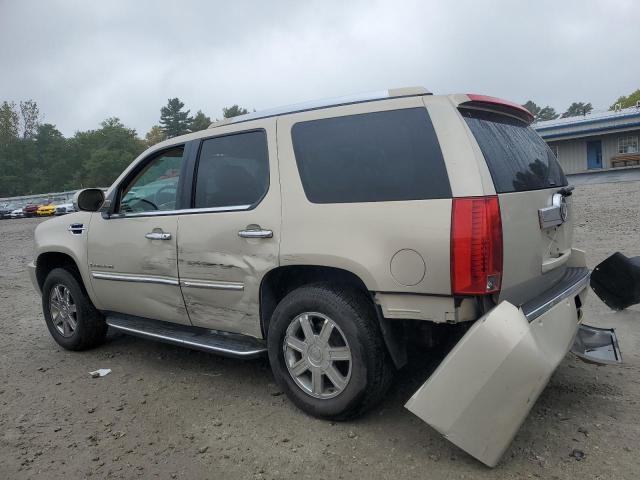 1GYFK63838R174770 - 2008 CADILLAC ESCALADE LUXURY კრემისფერი ფოტო 2