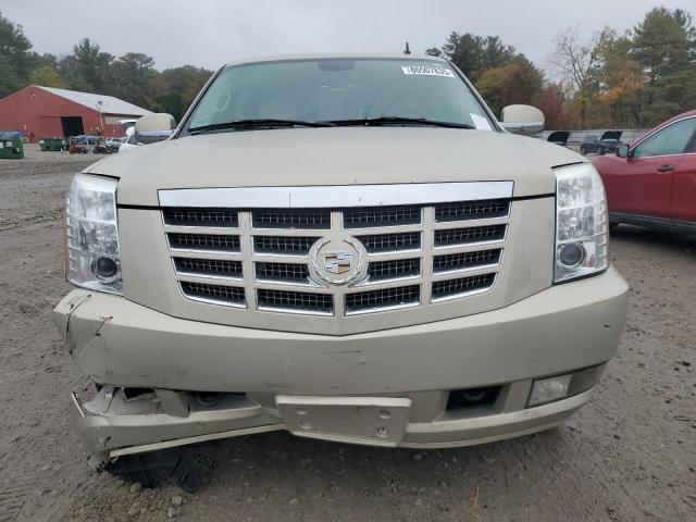 1GYFK63838R174770 - 2008 CADILLAC ESCALADE LUXURY კრემისფერი ფოტო 5