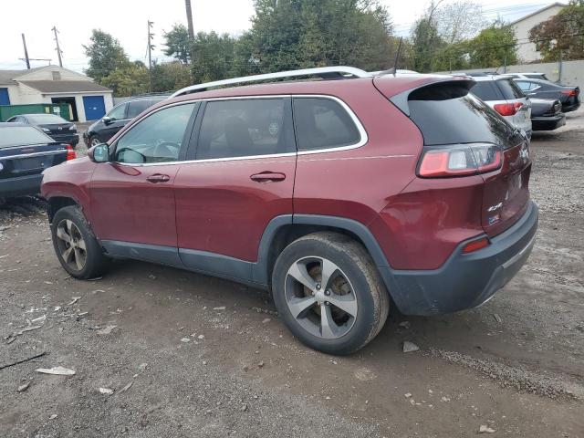 1C4PJMDN6KD149291 - 2019 JEEP CHEROKEE LIMITED Каштановый фото 2