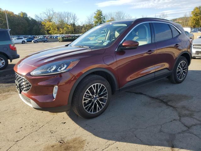 2021 FORD ESCAPE SEL, 