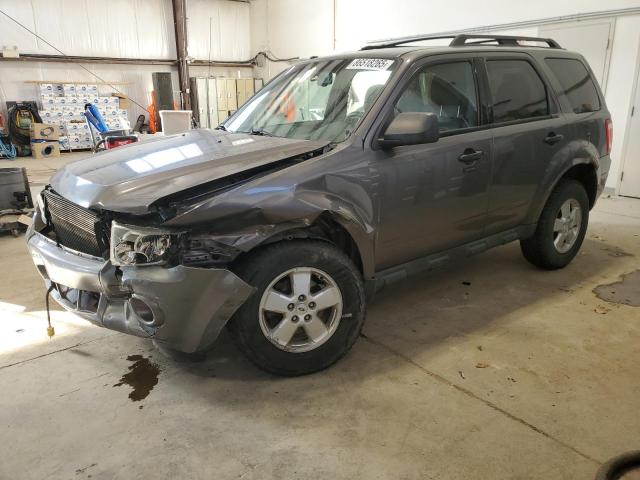 2010 FORD ESCAPE XLT, 