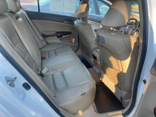 5KBCP3F87AB005983 - 2010 HONDA ACCORD EXL WHITE photo 6