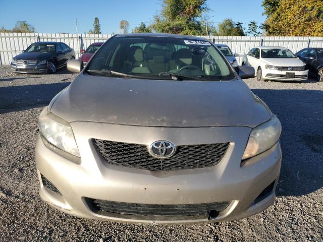 2T1BU40EX9C155383 - 2009 TOYOTA COROLLA BASE ذهبي صورة 5