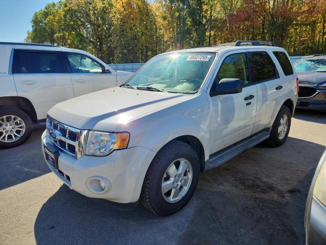 2011 FORD ESCAPE XLT, 