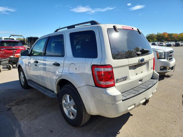 1FMCU0DG4BKA72783 - 2011 FORD ESCAPE XLT Biały zdjęcie 2