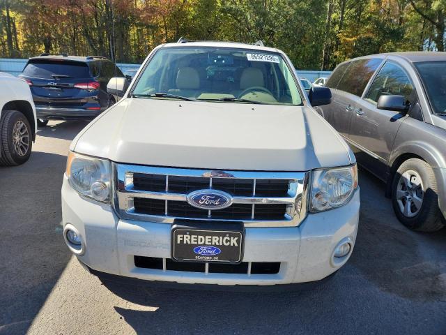 1FMCU0DG4BKA72783 - 2011 FORD ESCAPE XLT Biały zdjęcie 5