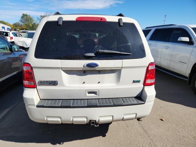 1FMCU0DG4BKA72783 - 2011 FORD ESCAPE XLT Biały zdjęcie 6