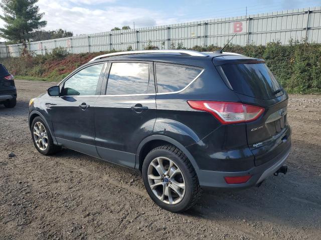 1FMCU0J96EUD19302 - 2014 FORD ESCAPE TITANIUM BLACK photo 2