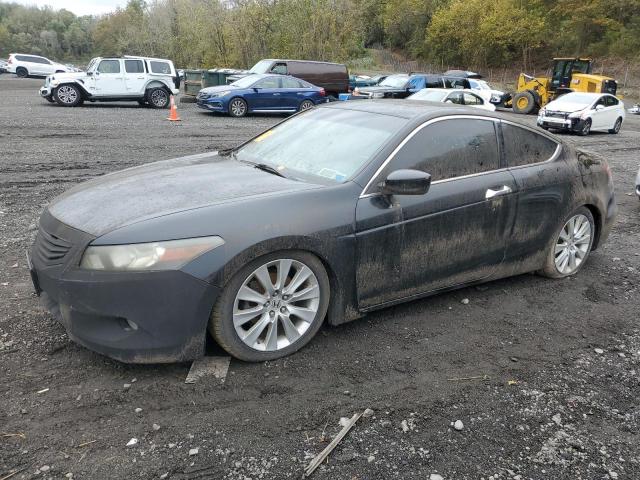 2010 HONDA ACCORD EXL, 
