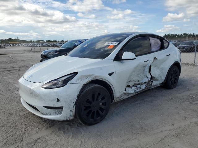 2023 TESLA MODEL Y, 