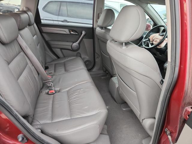 JHLRE48719C008270 - 2009 HONDA CR-V EXL წითელი ფოტო 10