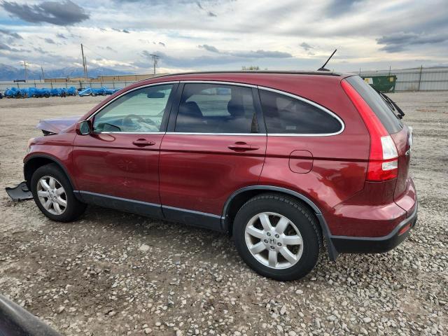 JHLRE48719C008270 - 2009 HONDA CR-V EXL წითელი ფოტო 2