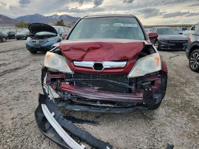 JHLRE48719C008270 - 2009 HONDA CR-V EXL წითელი ფოტო 5