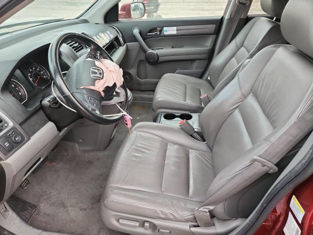 JHLRE48719C008270 - 2009 HONDA CR-V EXL წითელი ფოტო 7