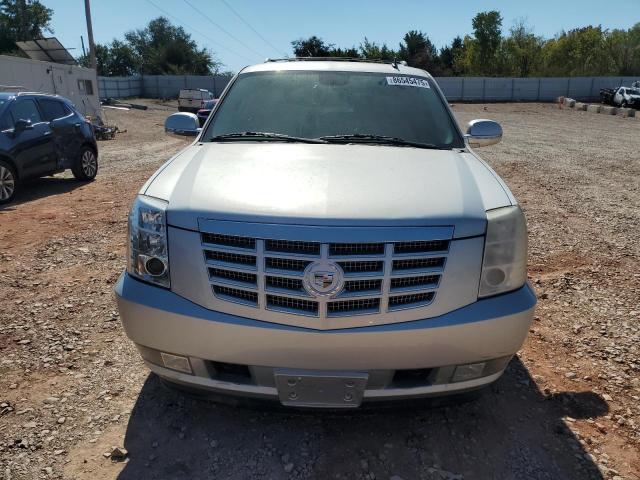 1GYUKBEF0AR136673 - 2010 CADILLAC ESCALADE LUXURY 银色 照片 5