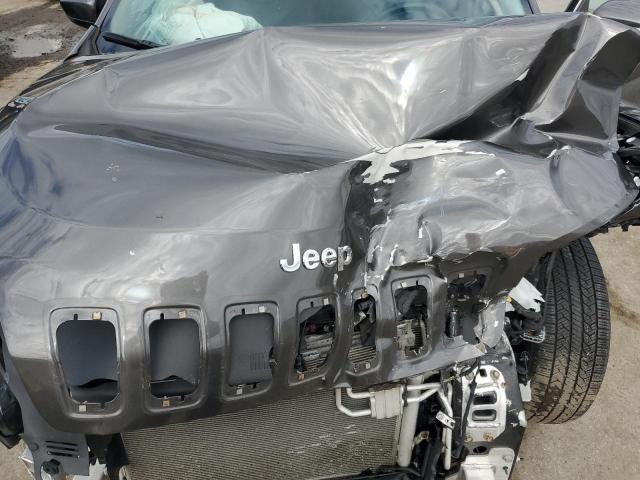 1C4PJMDX0KD236198 - 2019 JEEP CHEROKEE LIMITED ნაცრისფერი ფოტო 12