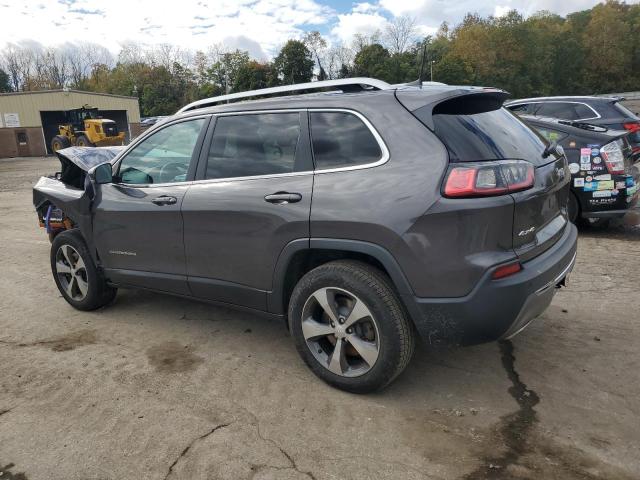 1C4PJMDX0KD236198 - 2019 JEEP CHEROKEE LIMITED ნაცრისფერი ფოტო 2