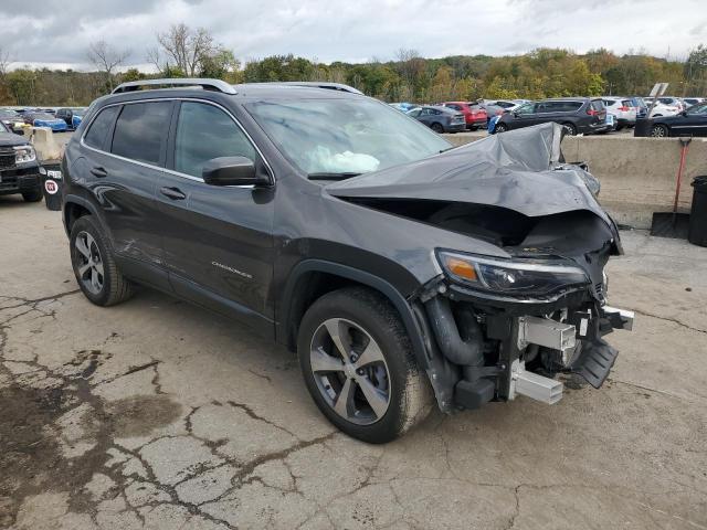 1C4PJMDX0KD236198 - 2019 JEEP CHEROKEE LIMITED ნაცრისფერი ფოტო 4