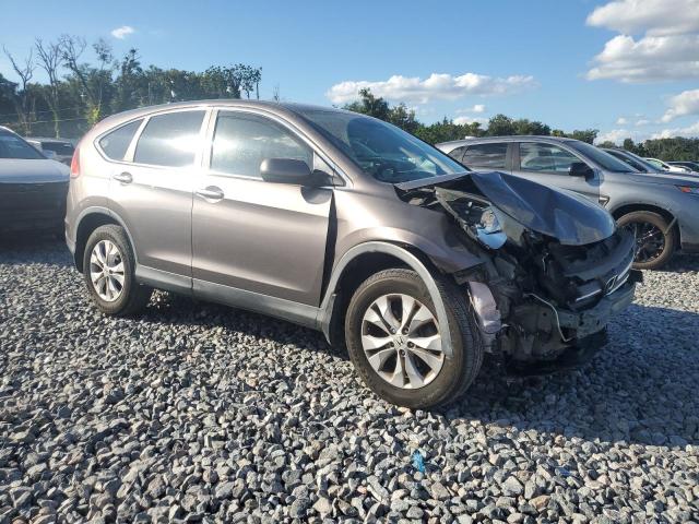 3CZRM3H54DG707255 - 2013 HONDA CR-V EX TAN photo 4