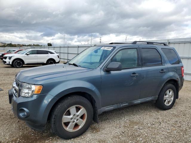 2010 FORD ESCAPE XLT, 