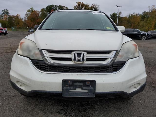 5J6RE4H78AL024090 - 2010 HONDA CR-V EXL WHITE photo 5