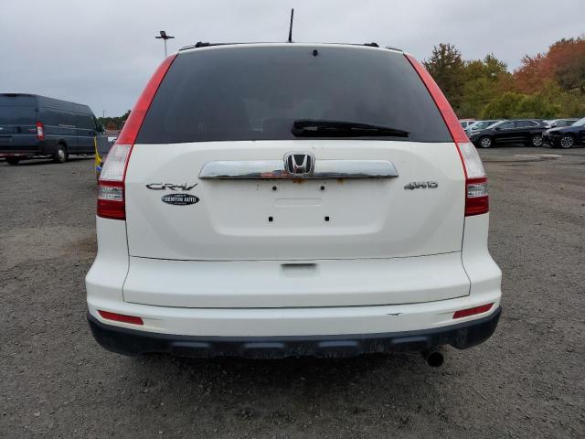 5J6RE4H78AL024090 - 2010 HONDA CR-V EXL WHITE photo 6