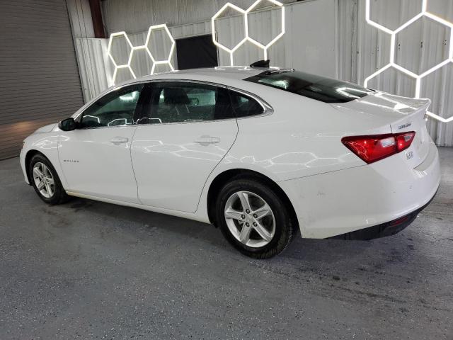 1G1ZC5STXPF232737 - 2023 CHEVROLET MALIBU LS Blanc photo 2