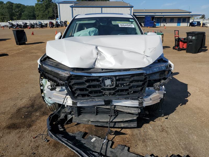 2HKRS4H73RH410561 - 2024 HONDA CR-V EXL 白色 照片 5