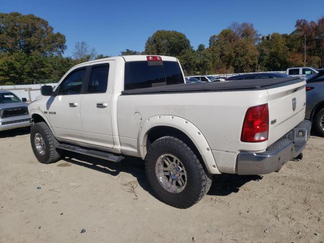 1D3HV18T29S729201 - 2009 DODGE RAM 1500 Ağ foto 2