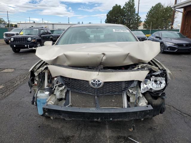 2T1BU4EE1AC389795 - 2010 TOYOTA COROLLA BASE GOLD photo 5