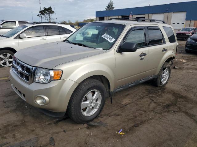 2010 FORD ESCAPE XLT, 
