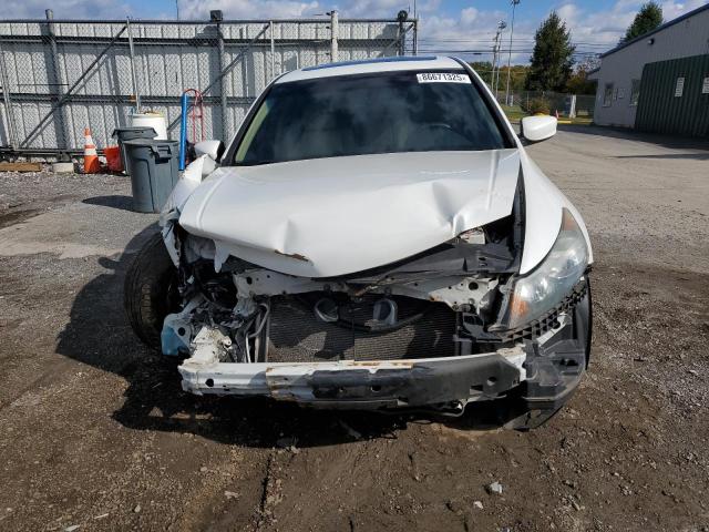 1HGCP3F82CA031046 - 2012 HONDA ACCORD EXL 白色 照片 5