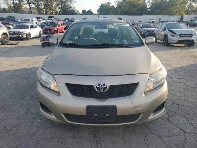 1NXBU40EX9Z019253 - 2009 TOYOTA COROLLA BASE Qəhvəyi foto 5