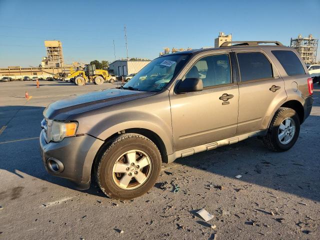 2010 FORD ESCAPE XLT, 